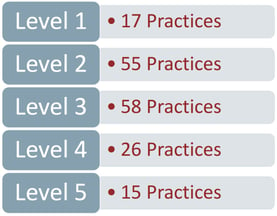 Level-5-CMMC-practices