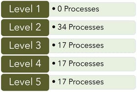 Level-5-CMMC-processes