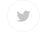 Twitter Logo