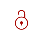 lock network secure icon