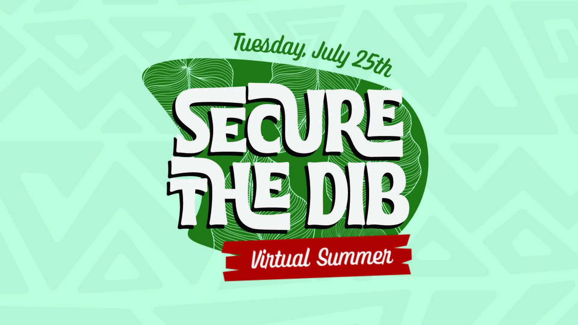 Secure-the-DIB-Virtual-Summer
